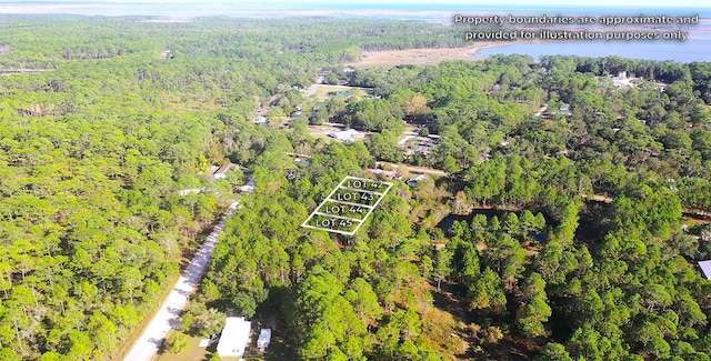 Listing photo 3 for Dickson Bay Rd, Panacea FL 32346