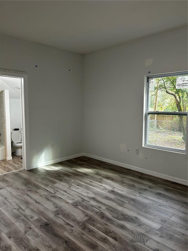 empty room with hardwood / wood-style flooring