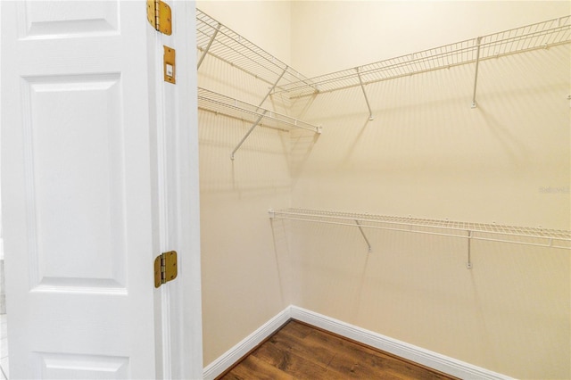 walk in closet featuring dark hardwood / wood-style floors