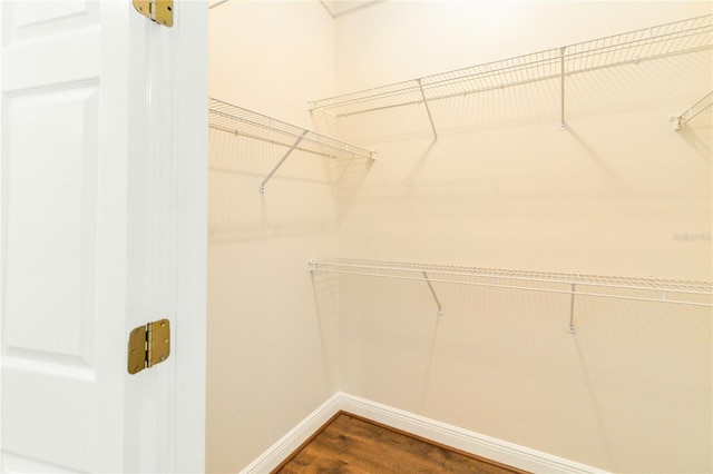 spacious closet featuring dark hardwood / wood-style floors