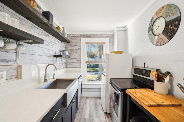 kitchen featuring ornamental molding, light hardwood / wood-style floors, stainless steel appliances, sink, and butcher block countertops