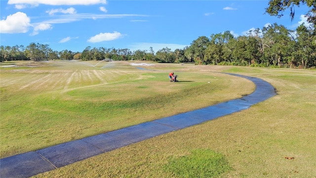 view of property's community featuring a lawn