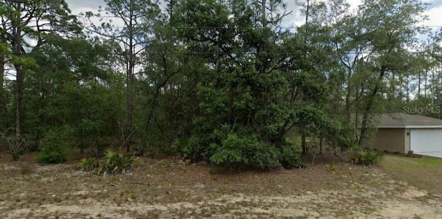 6299 N Allston Ter N, Citrus Springs FL, 34433 land for sale