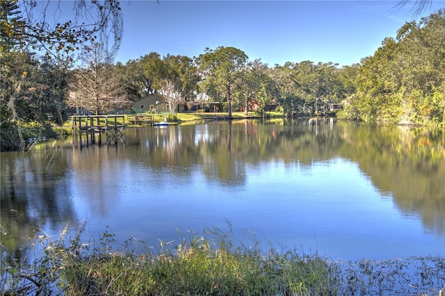 view of water feature