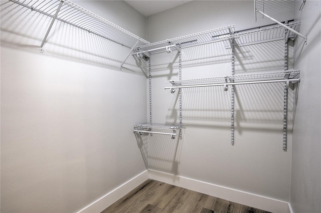 walk in closet with hardwood / wood-style floors