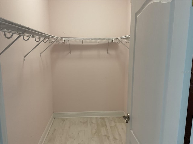 walk in closet featuring light hardwood / wood-style flooring