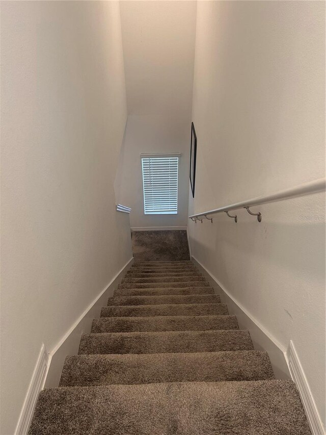 stairs featuring carpet