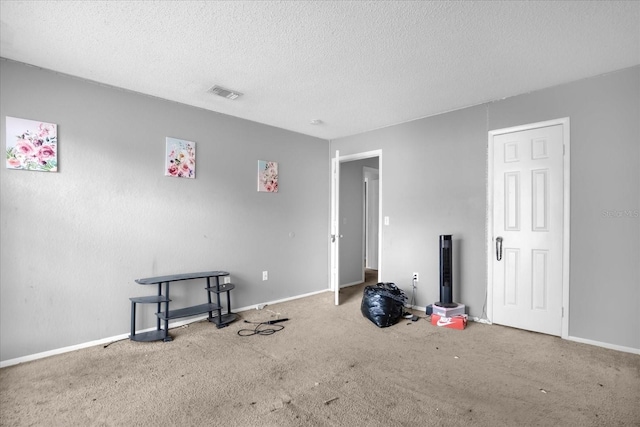 miscellaneous room featuring carpet floors and a textured ceiling