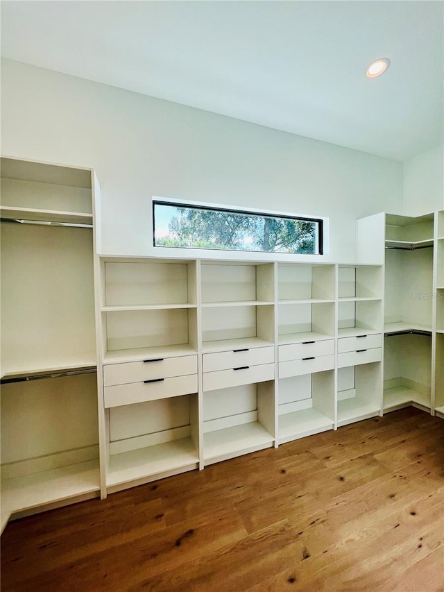 walk in closet with hardwood / wood-style flooring