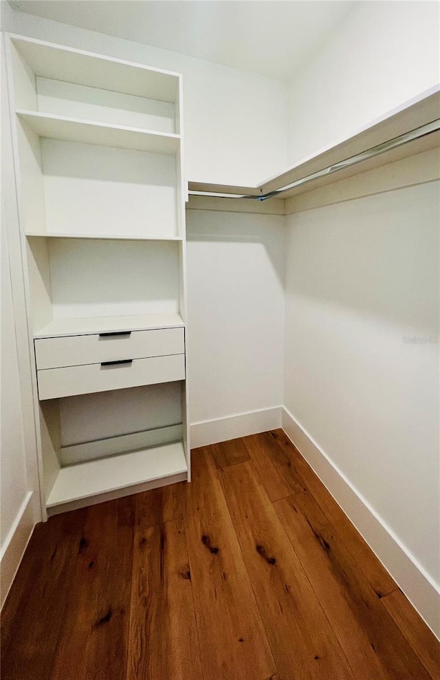 walk in closet featuring hardwood / wood-style flooring