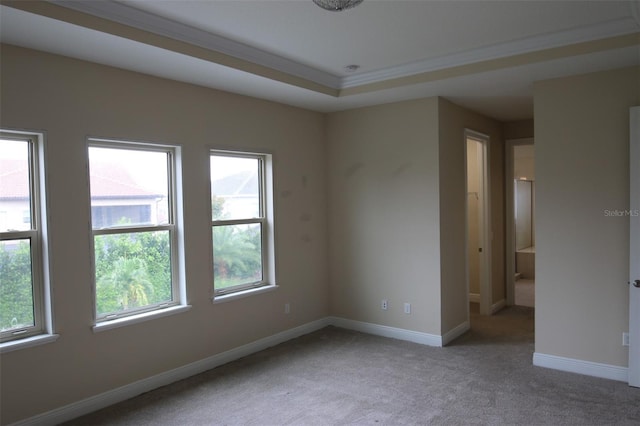 carpeted empty room featuring a healthy amount of sunlight