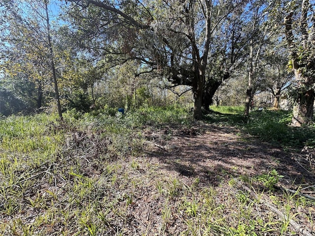 view of local wilderness