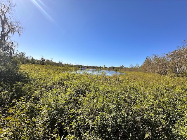 view of landscape featuring a water view