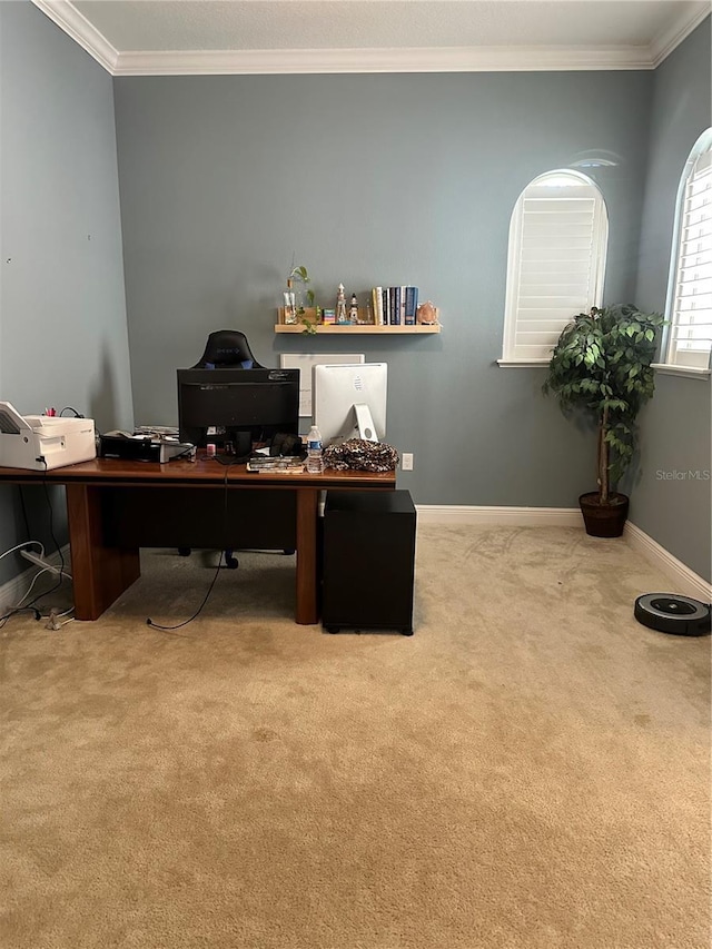 carpeted office space featuring ornamental molding