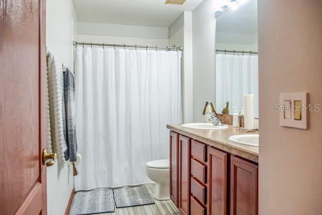 bathroom with toilet and vanity