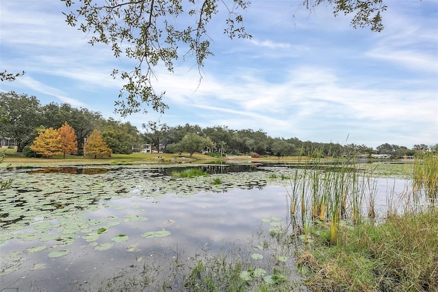 property view of water