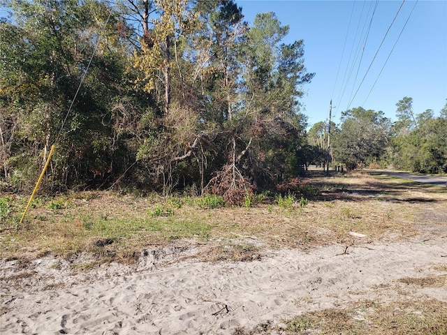 Dixie Dr, Paisley FL, 32767 land for sale