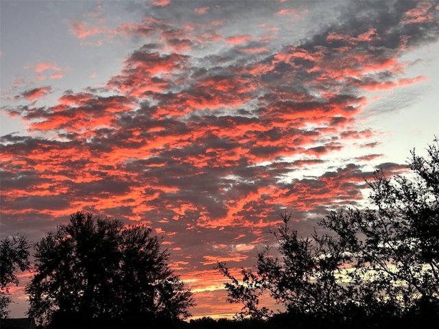 view of nature at dusk