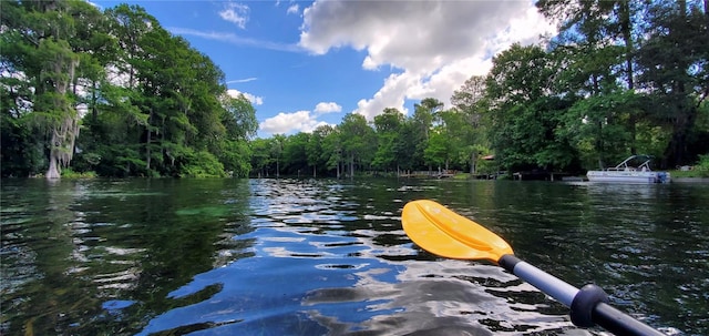 dock area with a water view and a view of trees