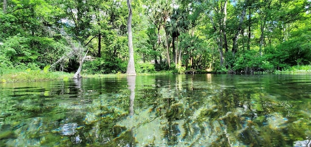 view of landscape featuring a water view and a view of trees