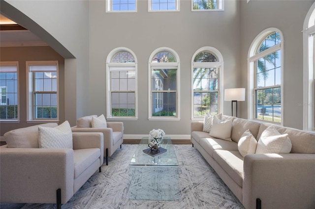 living room featuring a towering ceiling, a wealth of natural light, and light hardwood / wood-style flooring