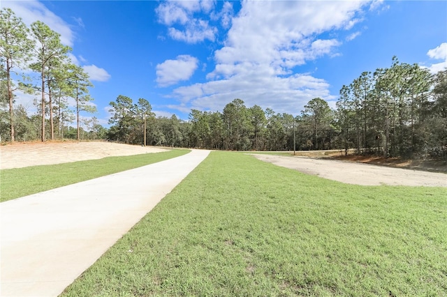 view of property's community with a yard