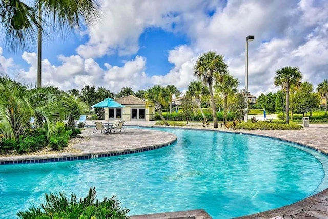 view of pool featuring a patio