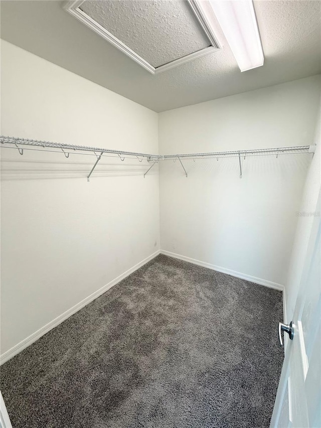 spacious closet with carpet and attic access