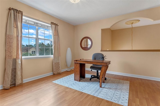 office space with hardwood / wood-style flooring