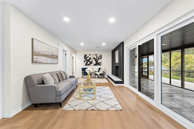 living room with light wood-type flooring