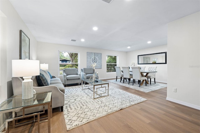 living room with wood-type flooring