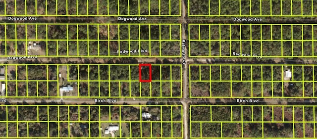 333 Redwood Blvd, Georgetown FL, 32139 land for sale