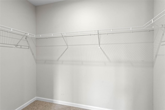 spacious closet with carpet