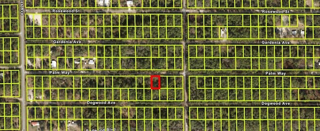 333 Palm Way, Georgetown FL, 32139 land for sale