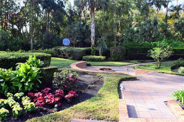 view of community with a yard and a patio