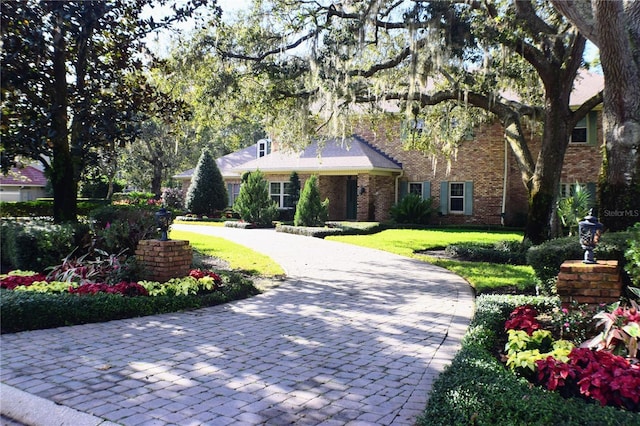 view of front of property featuring a front lawn