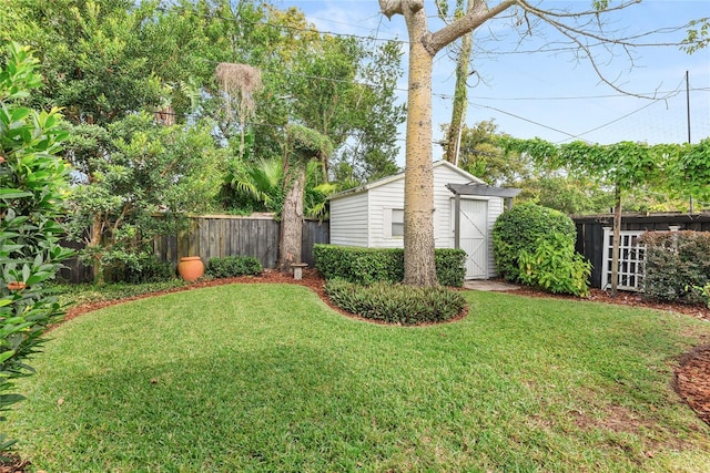 view of yard with a storage shed