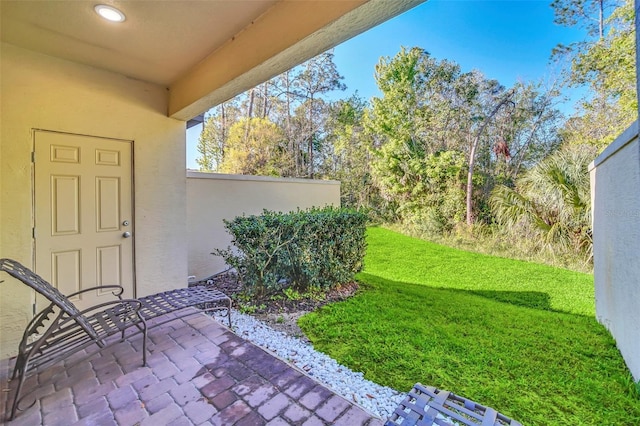 view of yard featuring a patio area