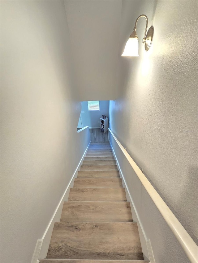 stairway with hardwood / wood-style flooring