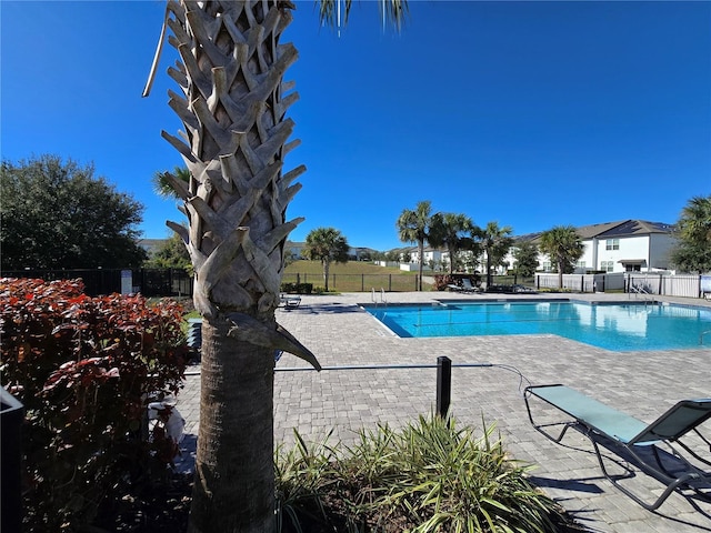 view of swimming pool featuring a patio area