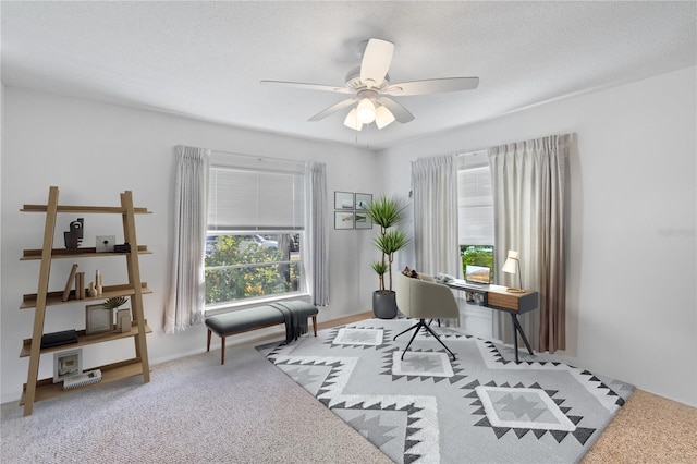 carpeted office featuring ceiling fan and a textured ceiling