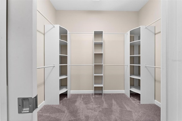 walk in closet with dark colored carpet