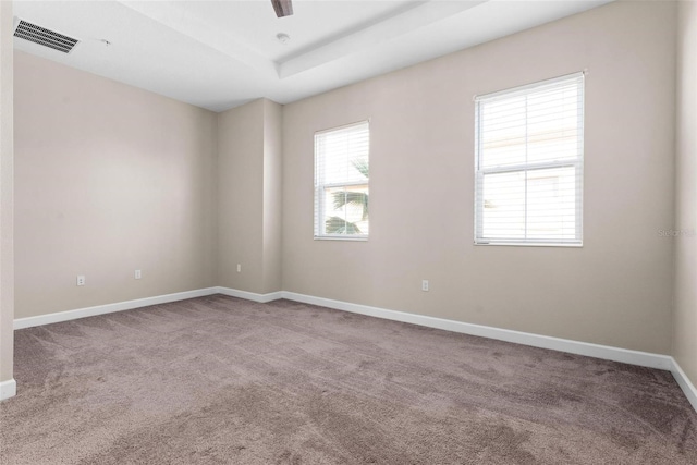 empty room featuring a tray ceiling and carpet flooring