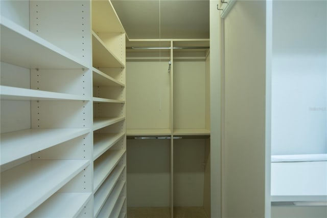 view of spacious closet