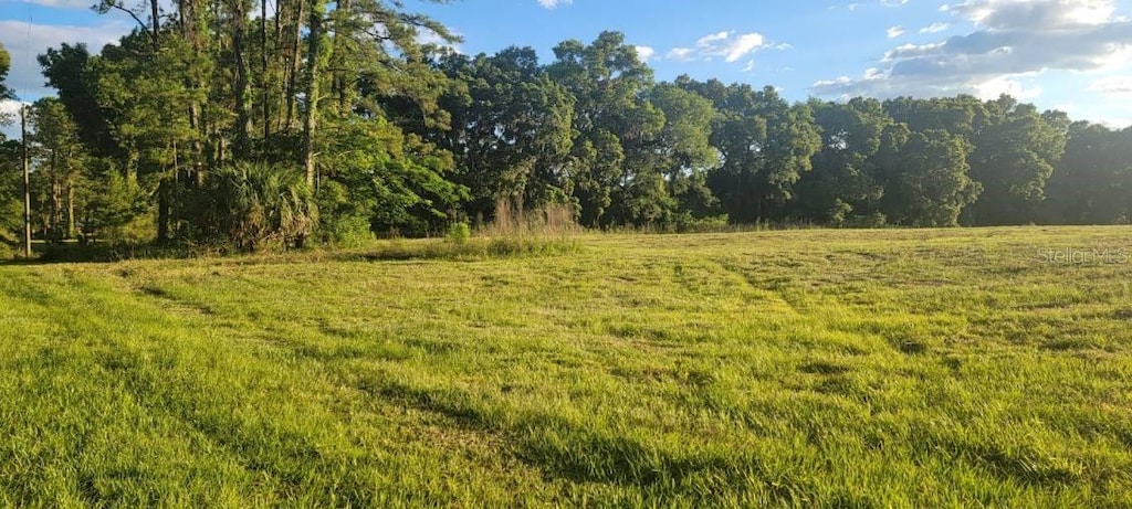 1370 SW 117th Ct, Ocala, FL 34481 - photo 2
