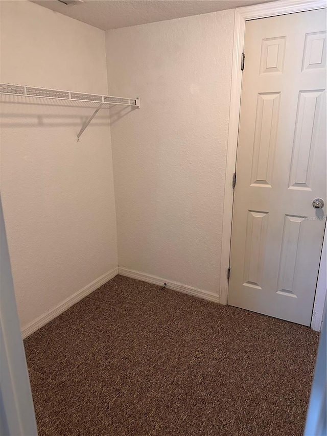 walk in closet featuring carpet flooring