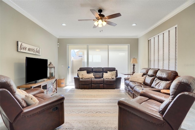 living room featuring ceiling fan, ornamental molding, and a textured ceiling