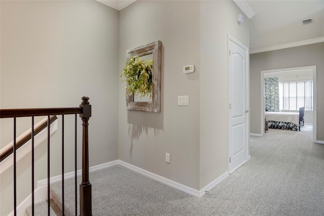 hallway featuring crown molding and carpet floors