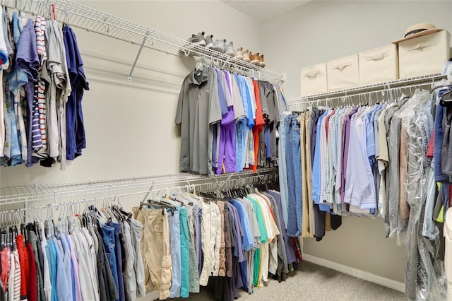 walk in closet with light colored carpet