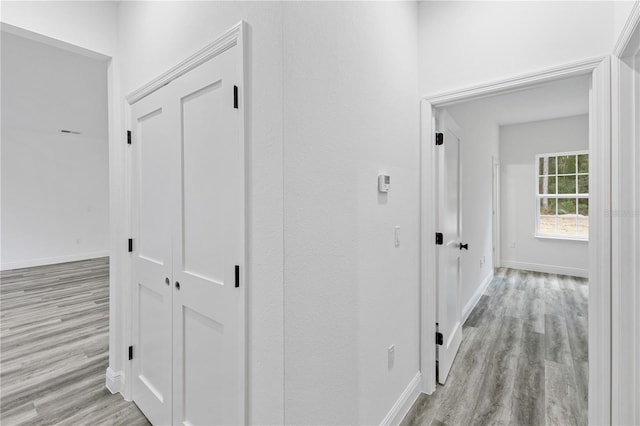 hall featuring light hardwood / wood-style floors